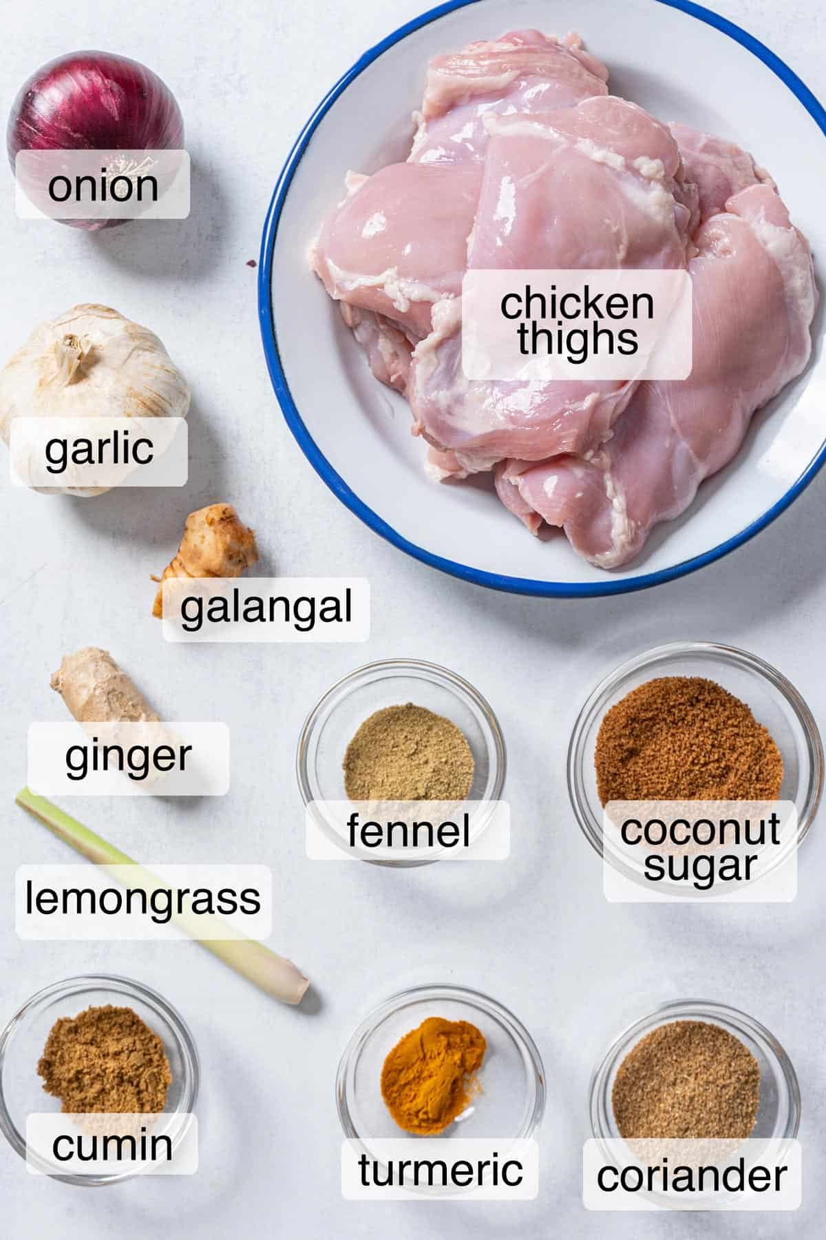 Ingredients to make Malaysian chicken satay.