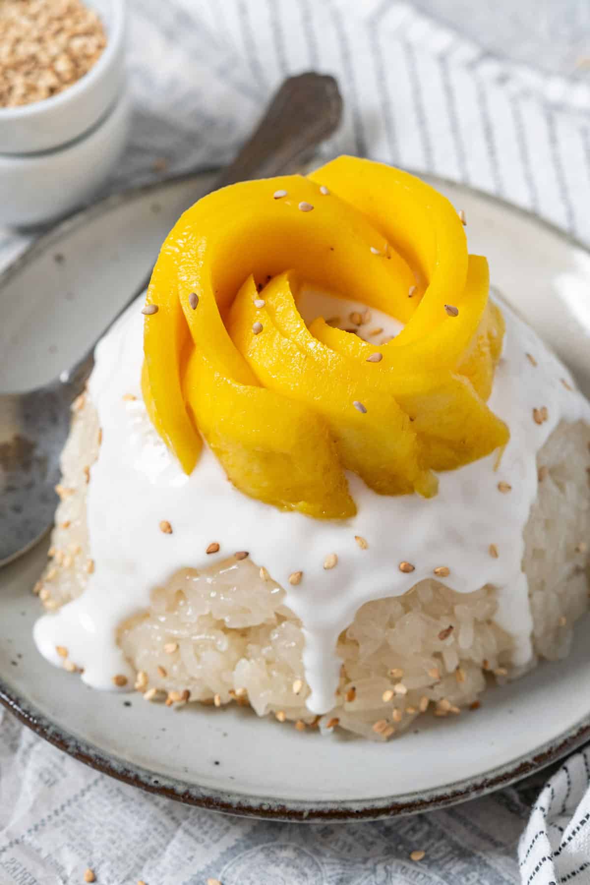 Single serve mango sticky rice in a plate.