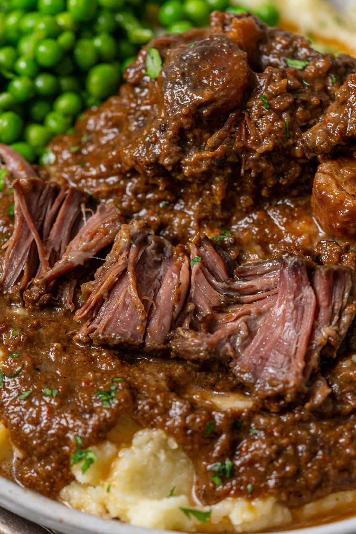 Close up of Spanish oxtail stew in a slow cooker.